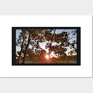 Autumn Sunrise Posters and Art